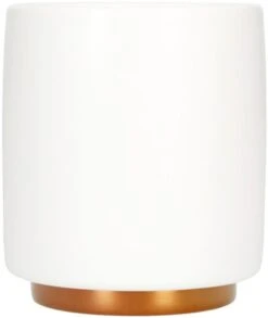 Fellow Monty Milk Art Cup 130 Ml (4.5 Oz)