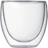 Bodum Pavina Double Wall Glass 2 Bodum Pavina Double Wall Glass -Coffee Supply Store 657