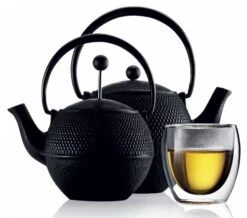 Bodum Pavina Double Wall Glass -Coffee Supply Store bodum pavina glass 211