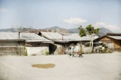 Johan & Nyström Sumatra Gayo Coffee Beans -Coffee Supply Store johan nystrom sumatra gayo mountain 178